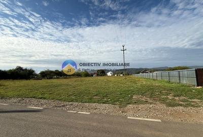 Teren de vanzare 1800 mp – Dumbrava Rosie - 4