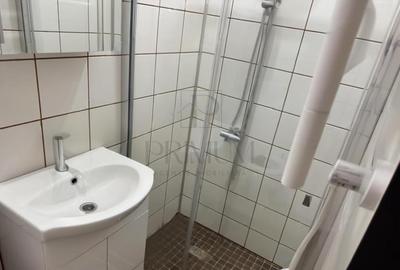 Garsoniera-Mobilata-Utilata-Buziasului - 4