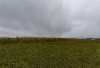 Teren intravilan, 5200mp, front 27ml, Fratautii Vechi, Radau - 3