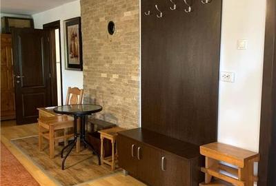 Cabana la munte, Colibita, jacuzzi, foisor - 4