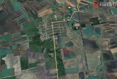 COMISION 0% Teren Extravilan Agricol, Beregsau Mare - Zona in dezvoltare - 3
