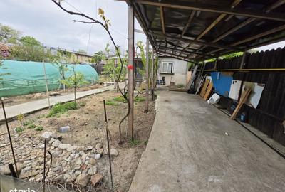 Spațiu comercial, în Petricani - 4