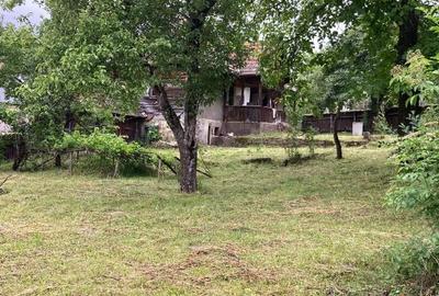 Casă cu Teren 900 Mp în Bixad - 3