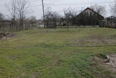 Casă cu Teren 1436 Mp în Merei - 5