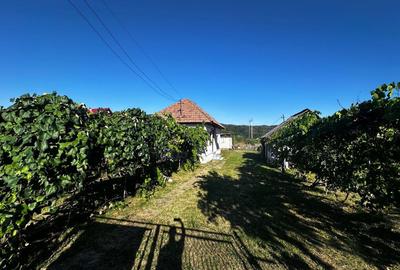 Casă cu 2 camere în Central - 3