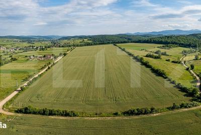 Teren de 52400 mp, în Ițcani