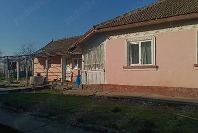 Casă cu 8 camere cu Teren 1074 Mp în Central - 2