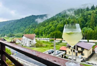 Vila S+P+2E Predeal Ideal Investitie - 15