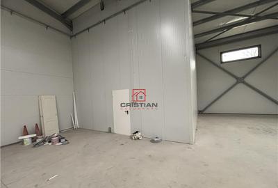 Depozit/hala/spatiu industrial Chitila - Centura, ILFOV - 11