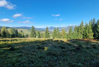 Teren Construcții intravilan de 9908 mp, în Dorna-Arini - 10