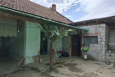 Casă cu 4 camere în Jena - 7