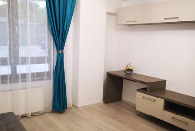 Garsonieră decomandată în Bucium - 6