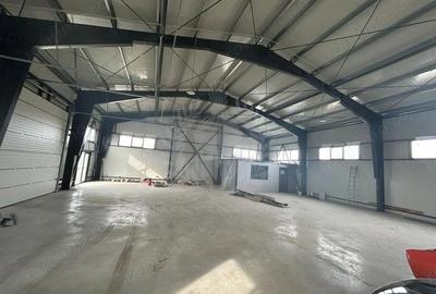 Spațiu comercial, de 400 mp, în Păulești - 3