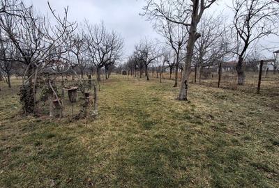 Vila P+1  Ploiesti - Paulestii Noi - 52