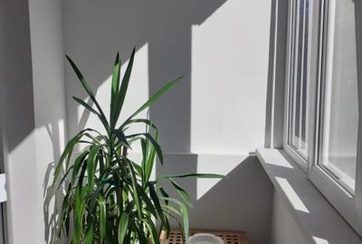 Piata Gorjului,bl.reabilitat,et.3/10,Renovat,prima inchiriere,mobilat utilat - 19