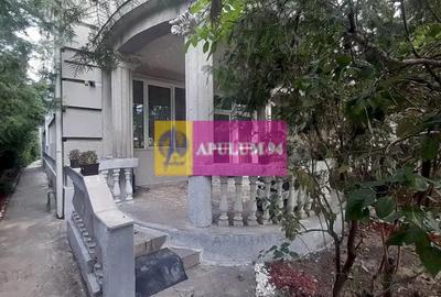 Casă cu Teren 3100 Mp în Băneasa - 4