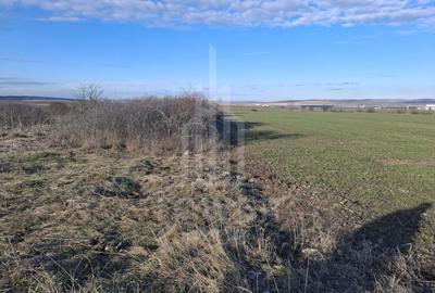 Teren agricol intravilan de 4300 mp, în Cristian - 2