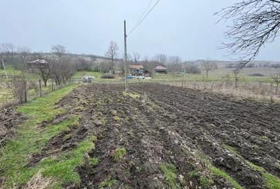 Teren de 2038 mp, în Ghercești - 5