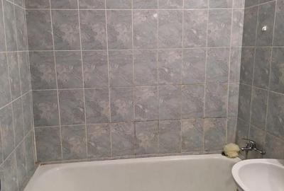 Garsonieră semidecomandată în Lizeanu - 5