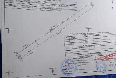 Teren agricol extravilan de 11900 mp, în Nord - 1