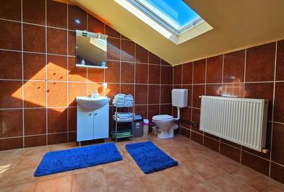 Vila ta aproape de natura – 8 camere, Lacul Pasarea - 73