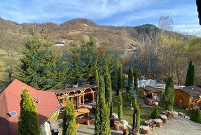 Vila cu piscina la munte, Arges - 3