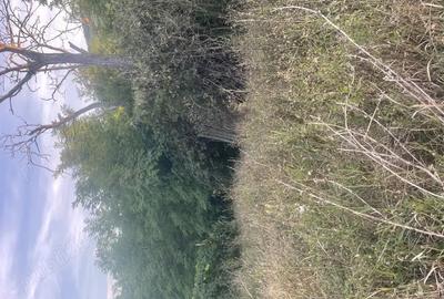 Casa de vinzare la tara - 3