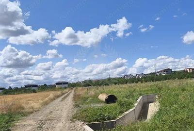 Teren de 7100 mp, în Păulești - 3