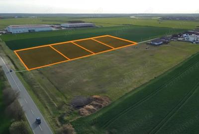 Teren de 1200 mp, în Sânandrei