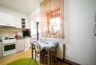 Imobil renovat, 2 apartamente, gradina ?i garaj Turnu - 6