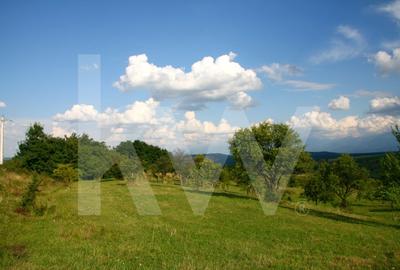 Teren de vanzare in Daia, Sibiu – 600 mp, priveliste superba spre munti - 2