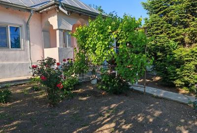 Casă cu 3 camere cu Teren 3000 Mp în Central - 13