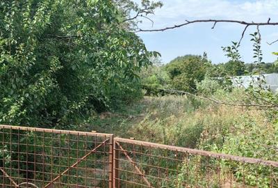 Spațiu comercial, în Putineiu - 4