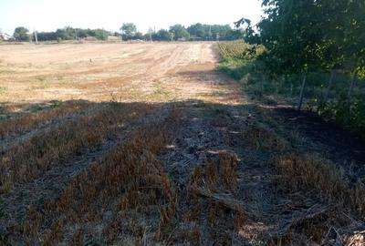 Spațiu comercial, în Ghimpați - 3