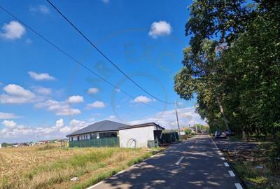 Teren 625 mp Ghermanesti - cu gaz si curent electric - 3