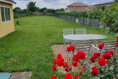 Casă cu 4 camere cu Teren 1219 Mp în Remetea Mare - 1