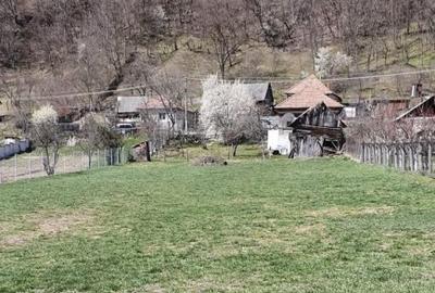 Teren 1250m Stirbei Voda - 1