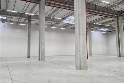 Spatiu Industrial - 4500 mp - Logistica - Productie - Depozitare - 11