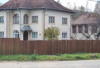 Casa Vila de vanzare, re?edin?a, ferma, Arge? - Valea Topologului. Lini?te, natura ?i aer curat ! - 2