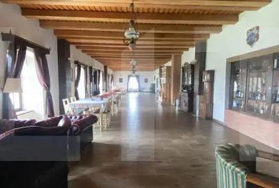 Casă cu 7 camere cu Teren 3000 Mp în Central - 14