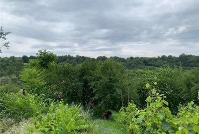 Casă cu 2 camere în Vârvor - 7