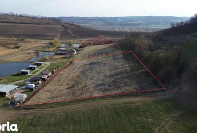 Teren de 7000 mp, în Laslea