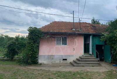 Casa + teren de 17.000 m2 de vanzare in sat Aciua, comuna Pomi, jud.Satu Mare - 2