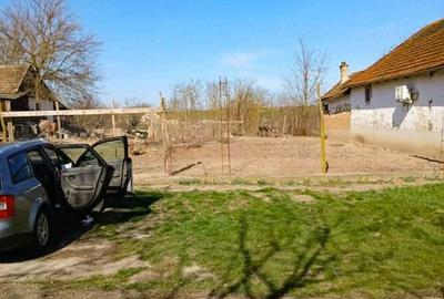 Teren de 1501 mp, în Zerind - 1