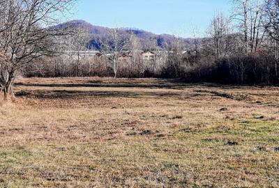 Teren de 5296 mp, în Est - 3