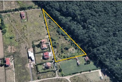 Teren Vânzare zona Băneasa - 1