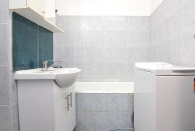 INCHIRIERE GARSONIERA DRISTOR - RACARI - LOC DE PARCARE - 13