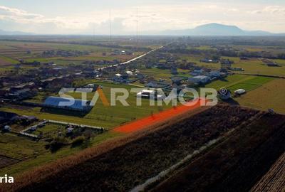 Teren de 3000 mp, în Bod - 6