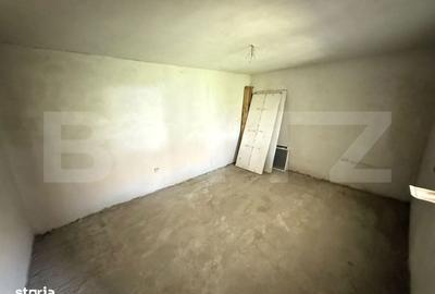 Casă cu 3 camere în Jiul - 1