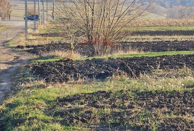 Teren agricol extravilan de 6100 mp, în Stroiești - 4